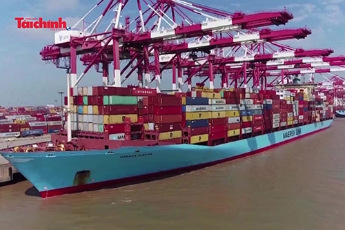 Bản tin Tài chính với Cuộc sống tuần từ 18-11 đến 22-11-2019